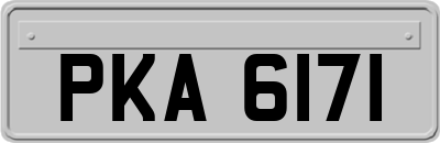 PKA6171