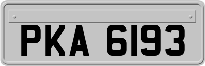 PKA6193
