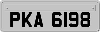 PKA6198