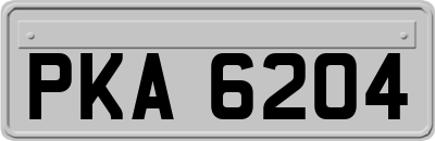 PKA6204