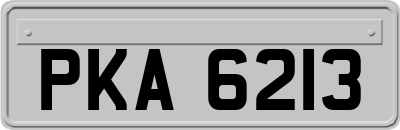 PKA6213