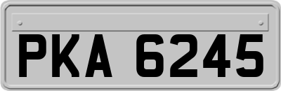 PKA6245