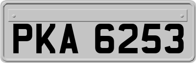 PKA6253
