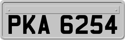 PKA6254