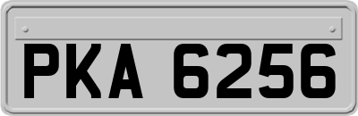 PKA6256