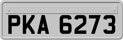 PKA6273