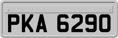 PKA6290