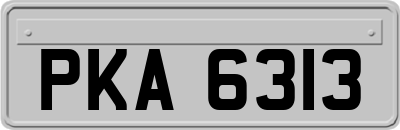 PKA6313
