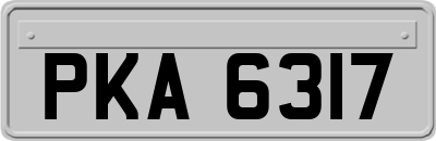 PKA6317