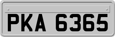 PKA6365