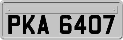 PKA6407