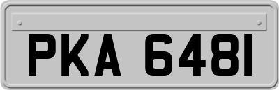 PKA6481