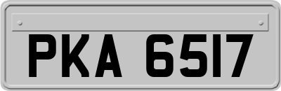 PKA6517