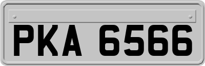 PKA6566