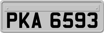 PKA6593