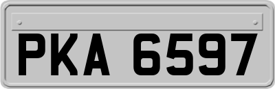 PKA6597