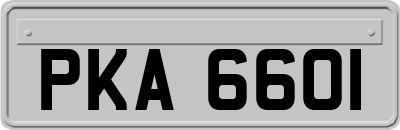 PKA6601