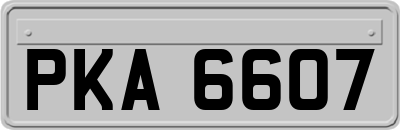 PKA6607