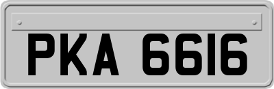 PKA6616