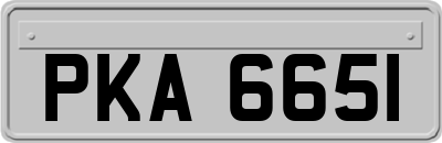 PKA6651