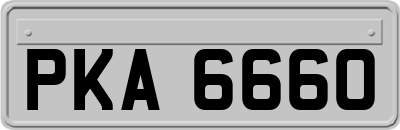 PKA6660