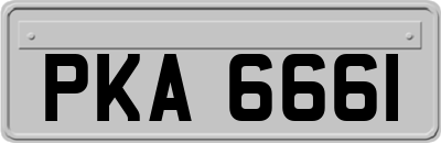 PKA6661