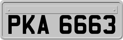 PKA6663
