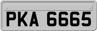 PKA6665
