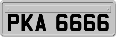 PKA6666
