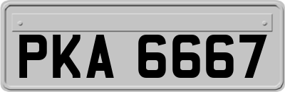 PKA6667