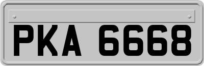 PKA6668