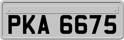 PKA6675