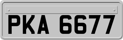 PKA6677