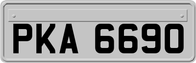 PKA6690