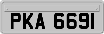 PKA6691