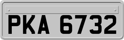 PKA6732