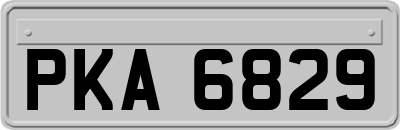 PKA6829
