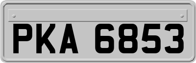 PKA6853