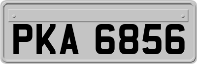 PKA6856