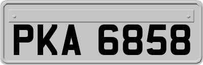 PKA6858