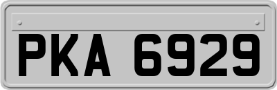 PKA6929