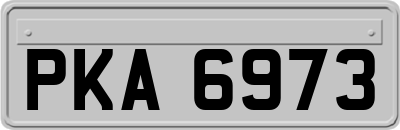 PKA6973