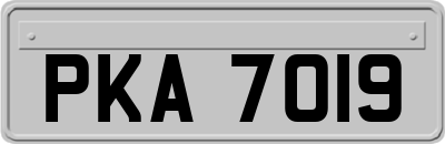 PKA7019