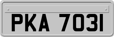 PKA7031