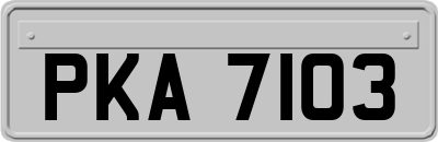 PKA7103