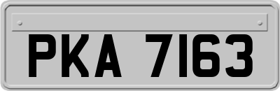PKA7163