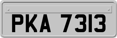 PKA7313