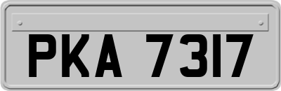 PKA7317
