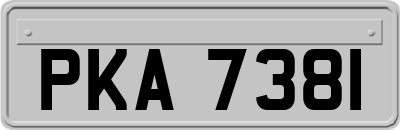 PKA7381