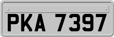 PKA7397